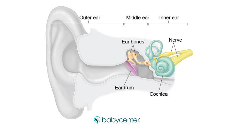 When can my baby hear me? What babies hear in the womb.