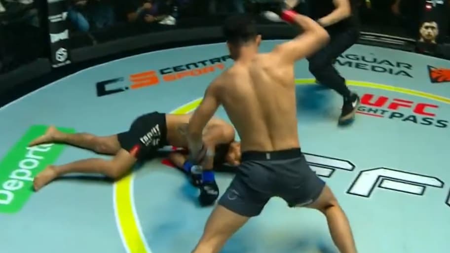MMA fighter seals 30-second KO with brutal strike to unconscious opponent