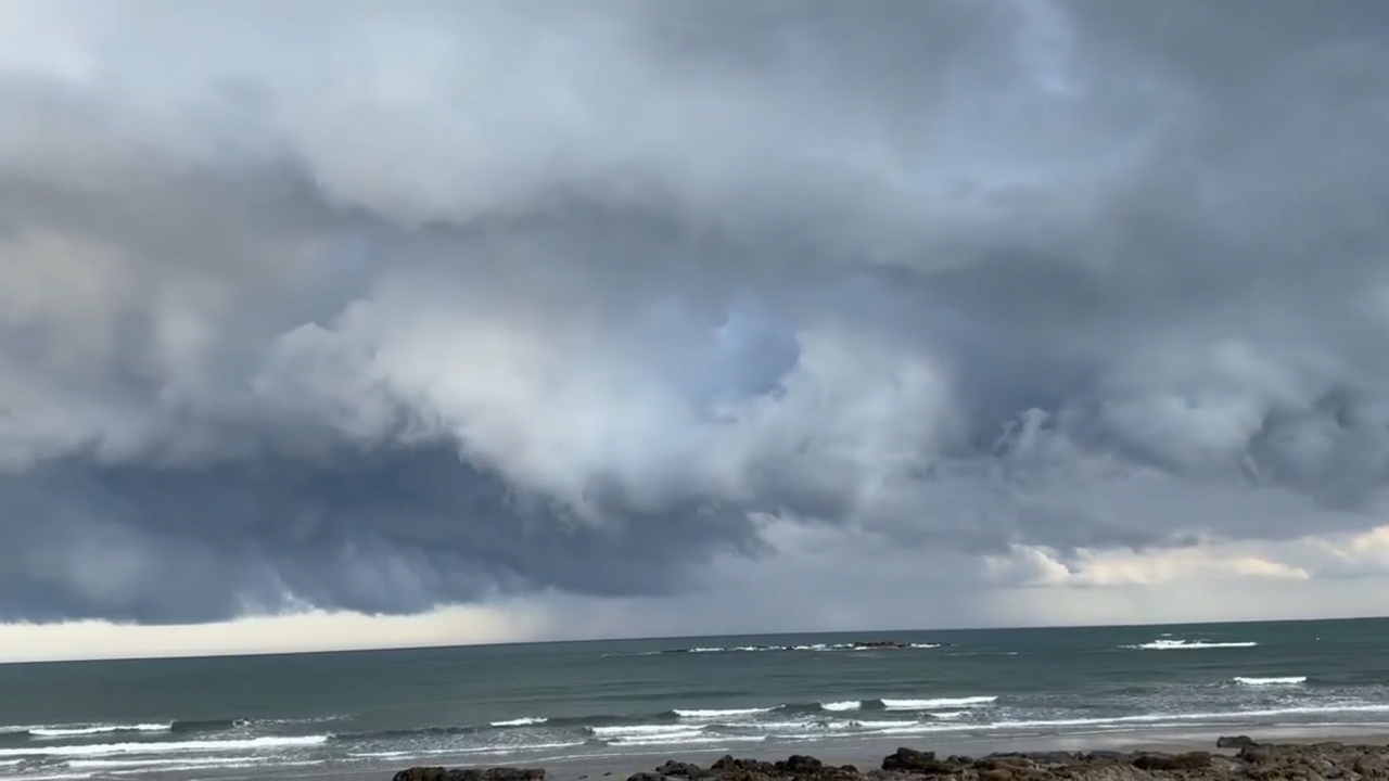 thick women pantyhose