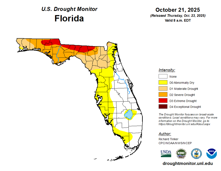 Florida cattle ranchers have beef with Trump's plan to import meat from ...