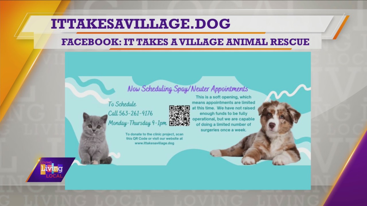 Helping animals in need | It Takes a Village Animal Rescue & Resources