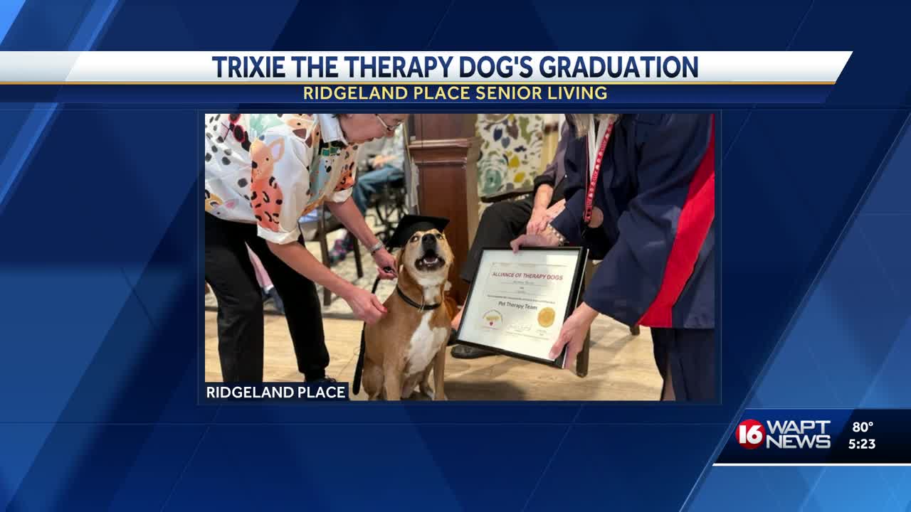 Pup earns therapy dog certification