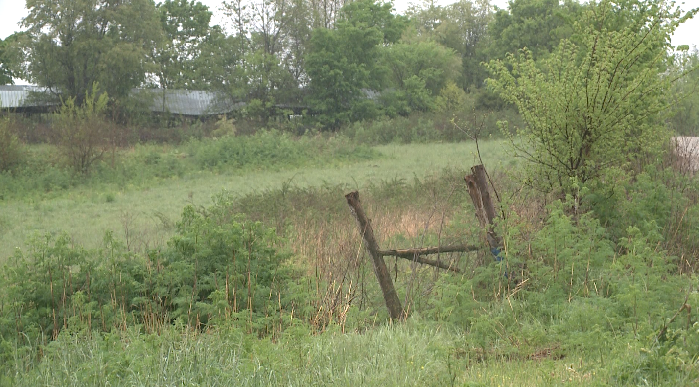 Arkansas man accused of killing mother & uncle takes plea deal