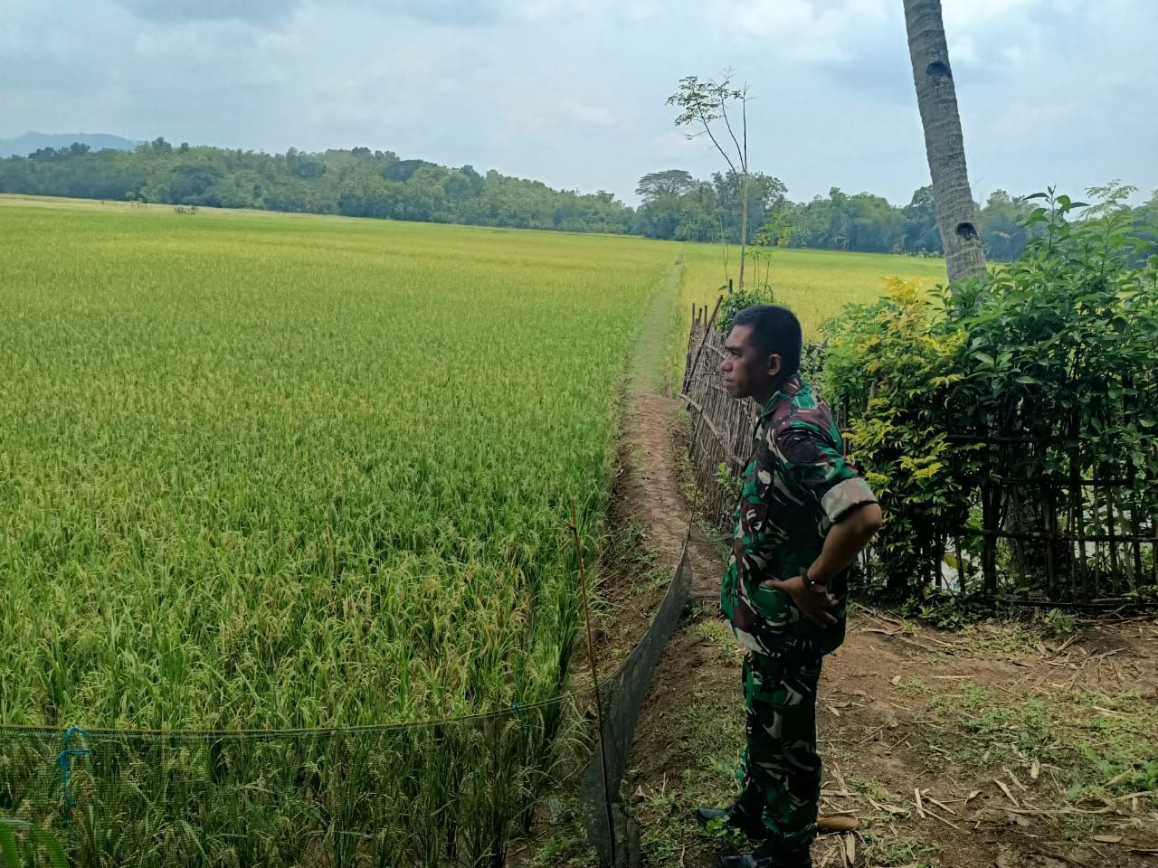 TMMD Ke 126 Kodim 0701/Banyumas Tuntaskan Pembangunan Jalan, Rumah, dan Pompa Air di Cingebul Lumbir