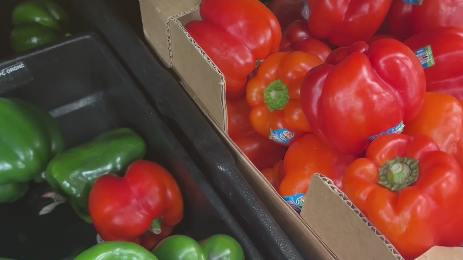 Michigan experts warn food insecurity on the rise amid government shutdown