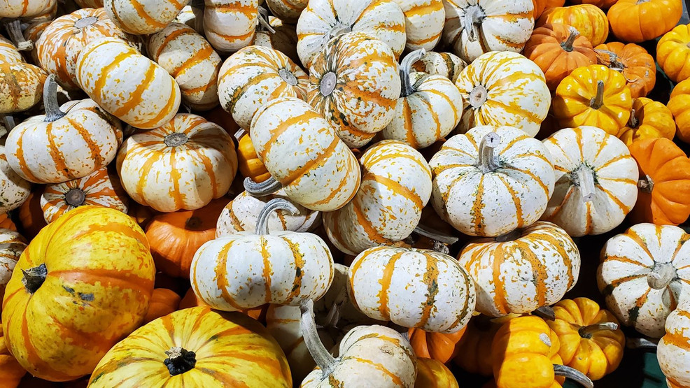 Central Texas fall events closed, rescheduled due to inclement weather