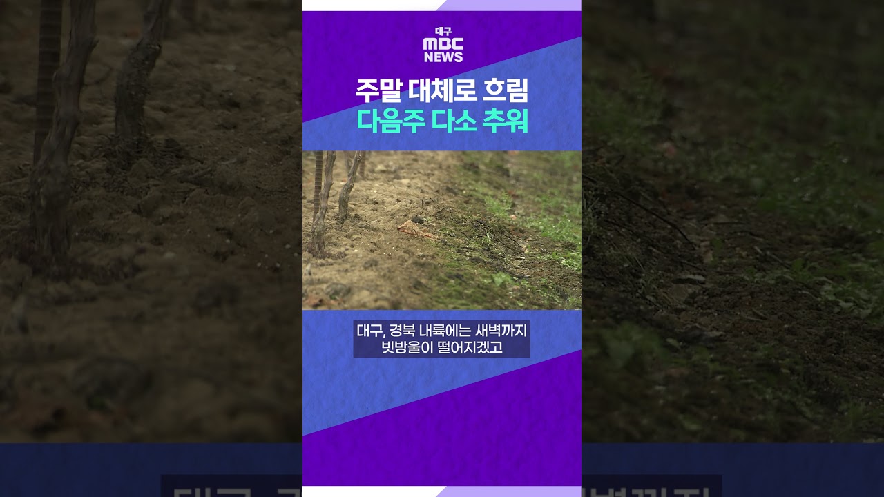 주말 대체로 흐림··· 다음주 다소 추워 #shorts (대구MBC)