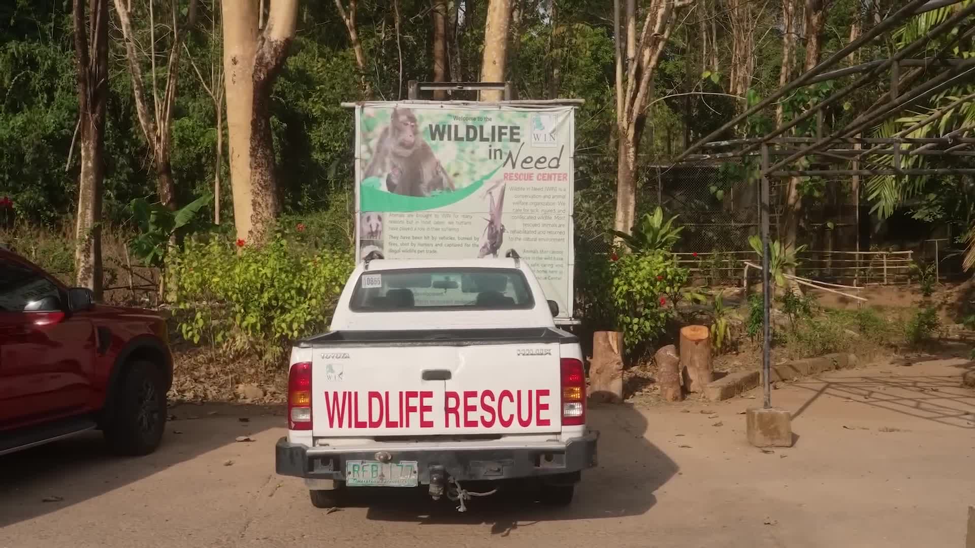 A journey to rescue dolphins and other sea creatures