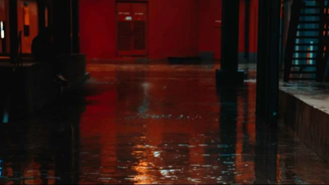 BNPB Umumkan Dampak Banjir Grobogan: 2.263 Rumah dan 285 Hektare Sawah Tenggelam