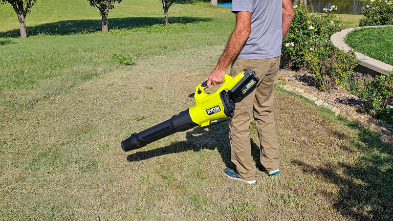 I Tested 6 Ryobi Tools That Make Fall Cleanup Fast, Easy, and ...