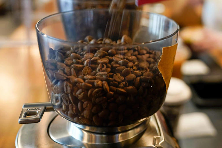 DA, Nestlé boost Northern Mindanao coffee yields