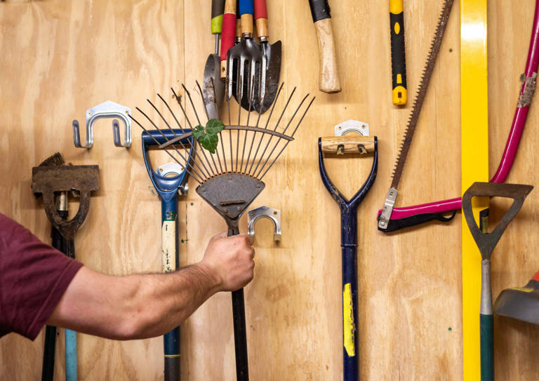 Don't Put Your Garden Tools Away Until You've Done This One Thing—It ...