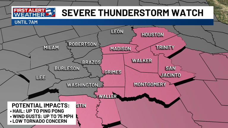 A Severe Thunderstorm Watch has been issued for the Brazos Valley