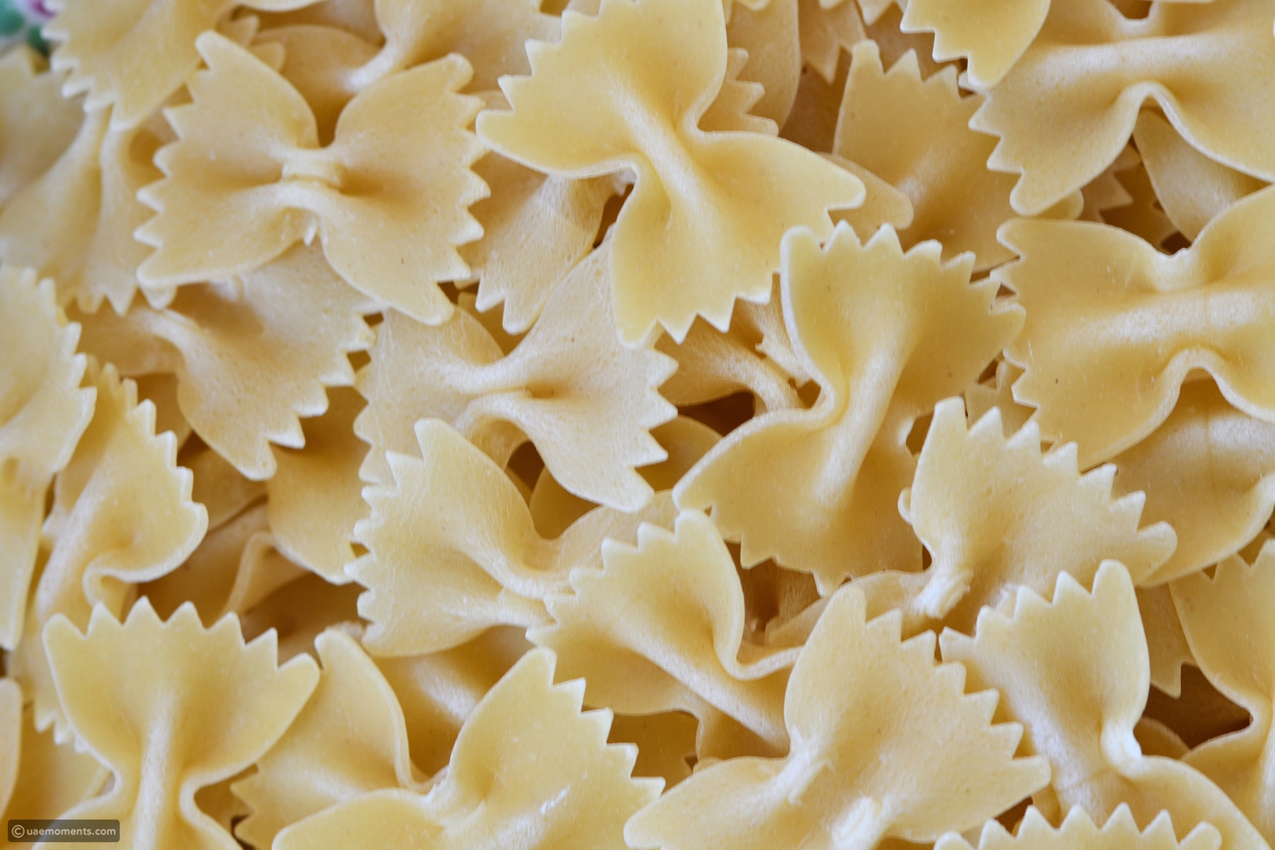 Album: Learn the names of different pasta shapes