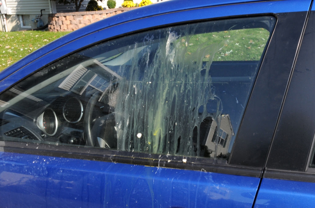 Car window with splattered substance, possible egg residue, partially obscures interior view. Residential area visible in window reflection