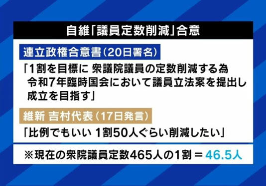 議員定数削減は逆効果？チームみらい党首・安野氏が指摘する懸念点「一番失われるのは“政治家の新陳代謝”」