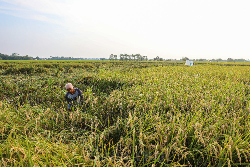 Ketidakpastian Global, DPRD Surabaya Dorong Pemerintah Perkuat Ketahanan Pangan
