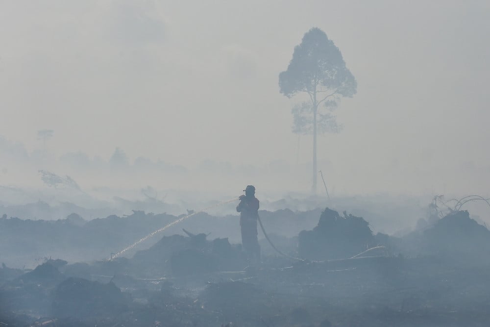 Fakta Karhutla 2025: Penurunan Kasus hingga Penahanan Tersangka