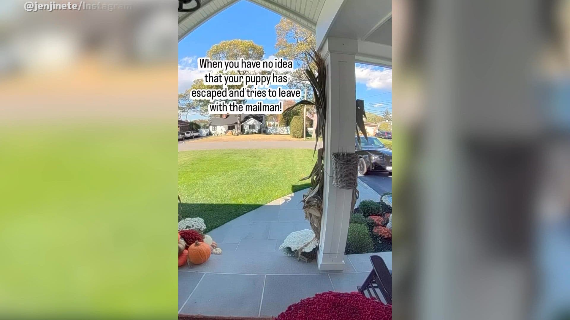 Pup Tries Leaving With Mailman