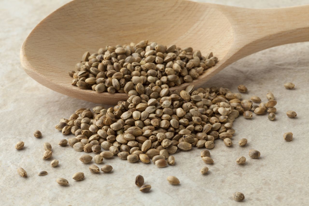 Hemp seeds