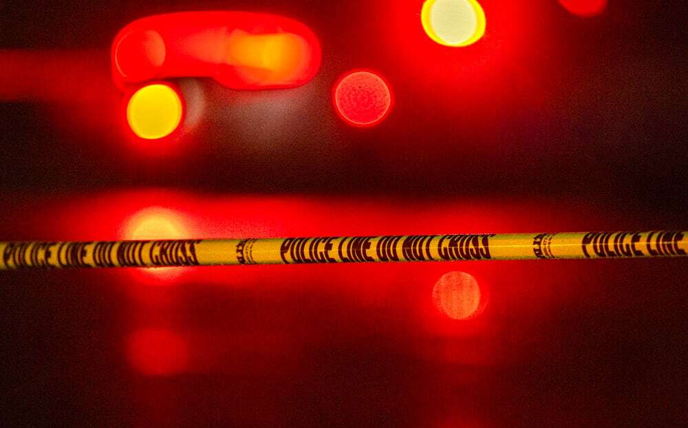 Woman dies after tree falls on moving car in Pa. city