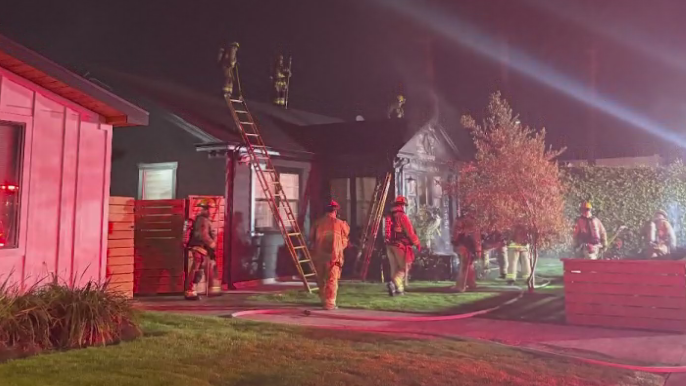 Video shows suspects allegedly setting Los Angeles family's home ablaze