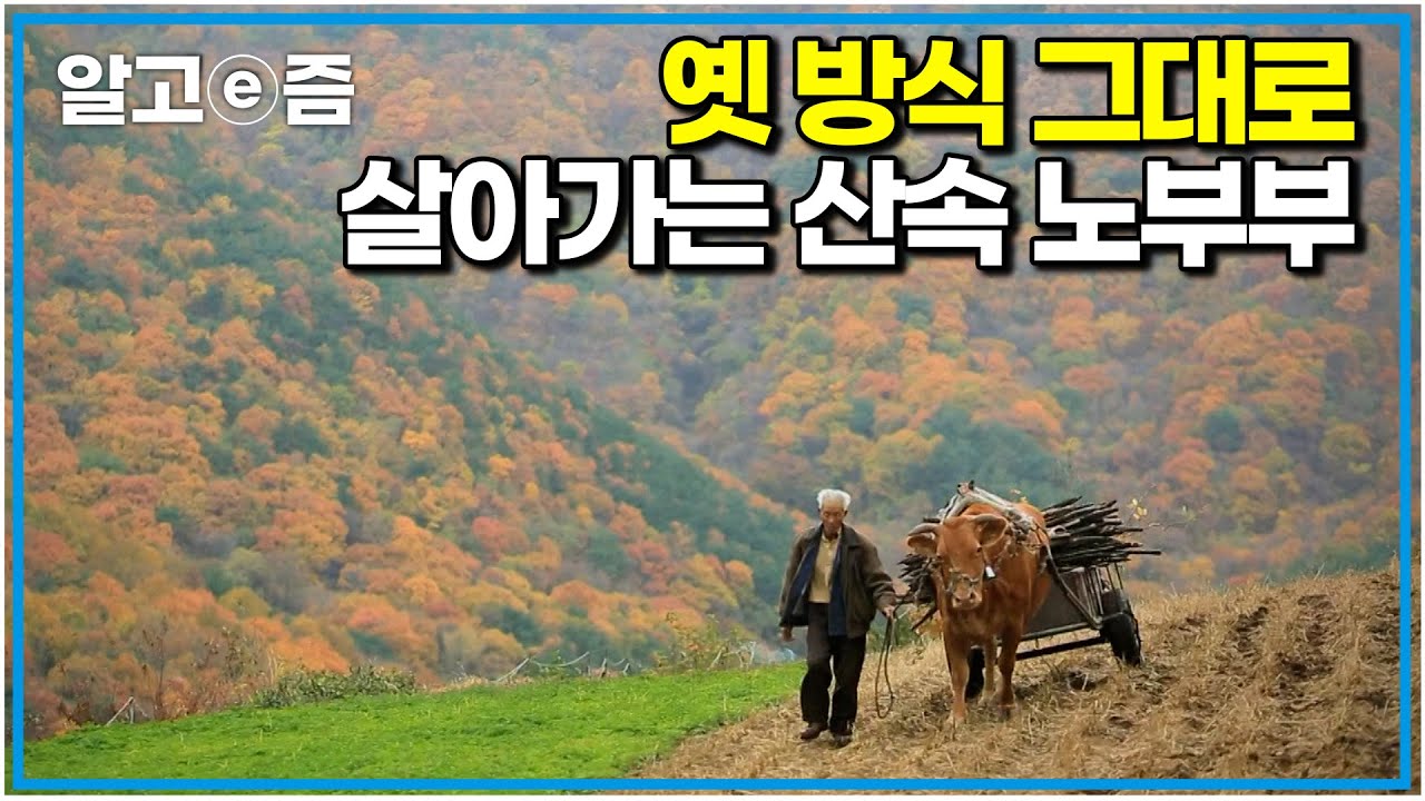 별빛 아래 살아가는 산속 노부부의 마지막 농사｜한국기행｜알고e즘