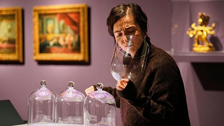 What do war, feminism and love smell like? This German exhibition 'nose ...