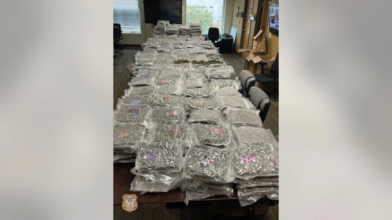 GBI raids uncover 500 pounds of marijuana, nine guns across metro Atlanta