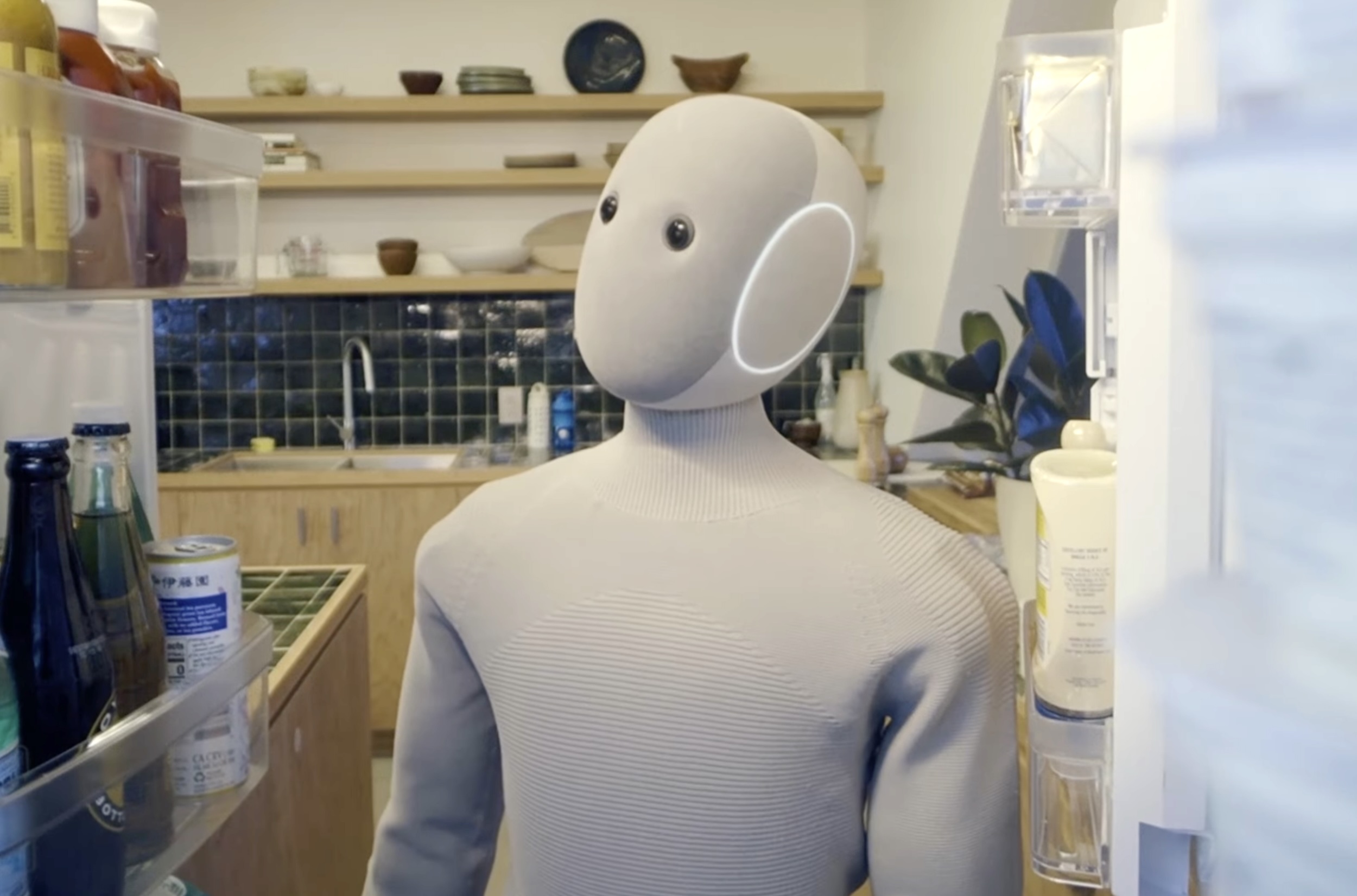 You can now order this robot butler, but there’s something you should know