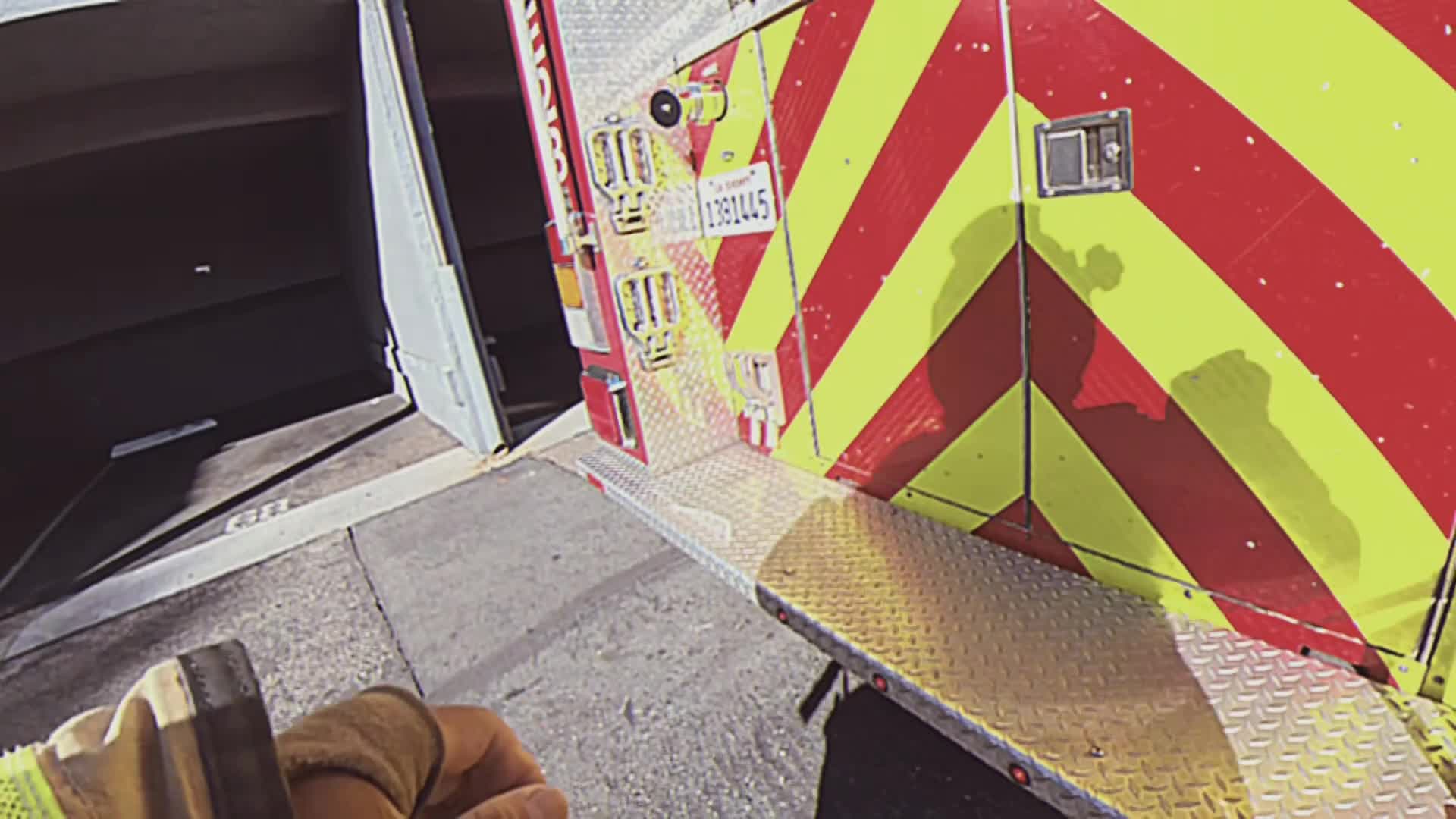 Dramatic video shows Orange County firefighters rescue cats from ...