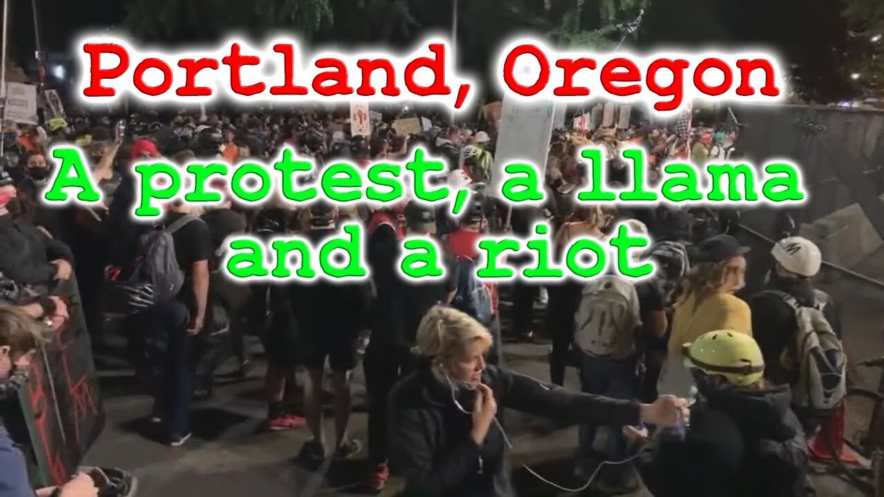 What is really going on at the Portland Oregon Protests? July 25th.