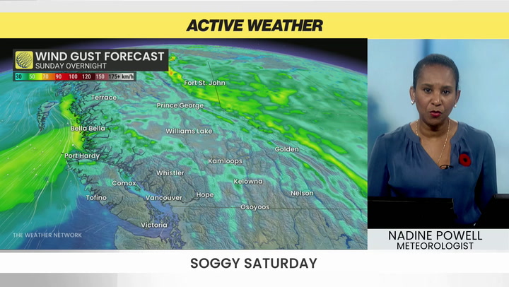 Heavy rain and strong winds prompt warnings for parts of B.C.