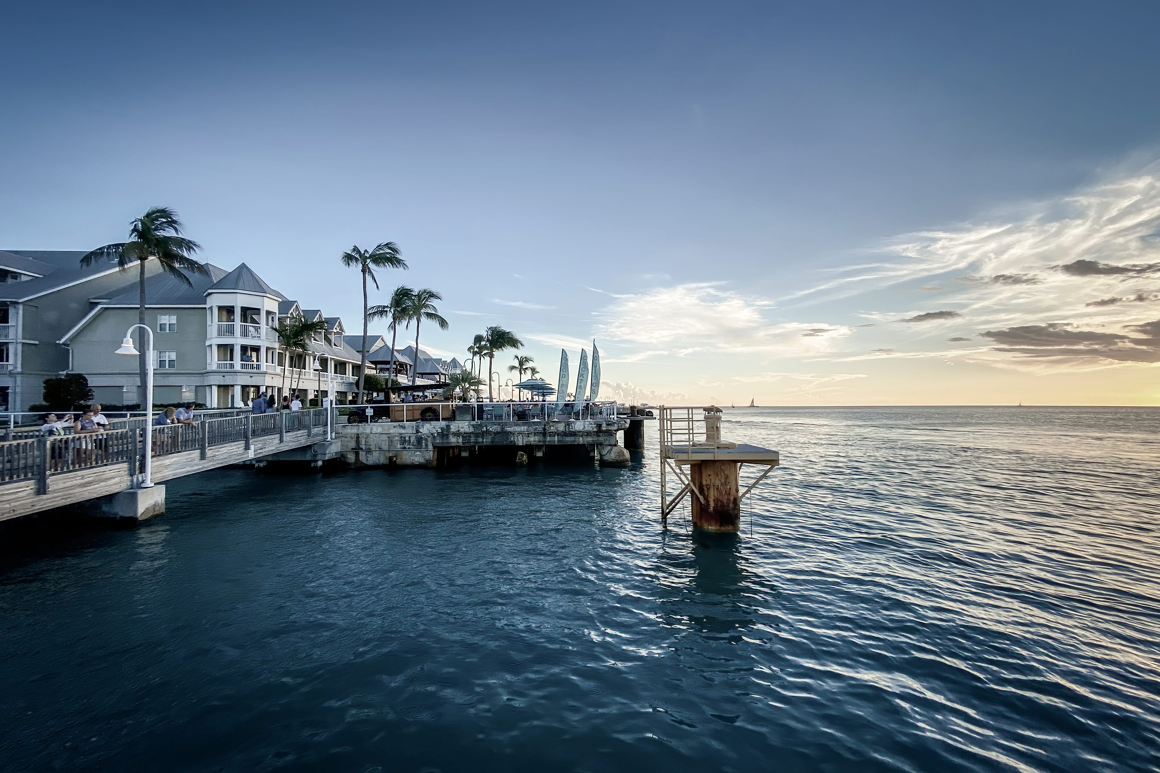 Sunset along the water with palm trees, buildings nearby