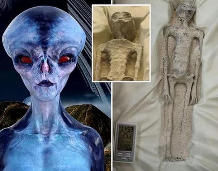 未知のDNAが30％」…メキシコで公開された“宇宙人ミイラ”、人類の常識が