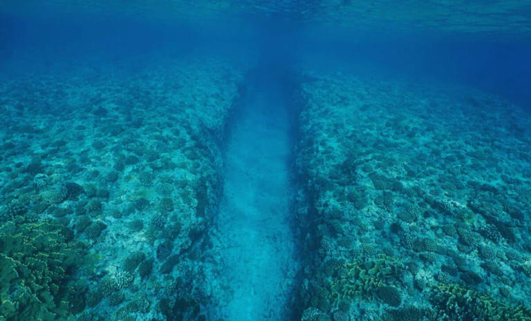 Experts Stunned as Earth’s Crust Begins to Collapse Beneath the Pacific ...