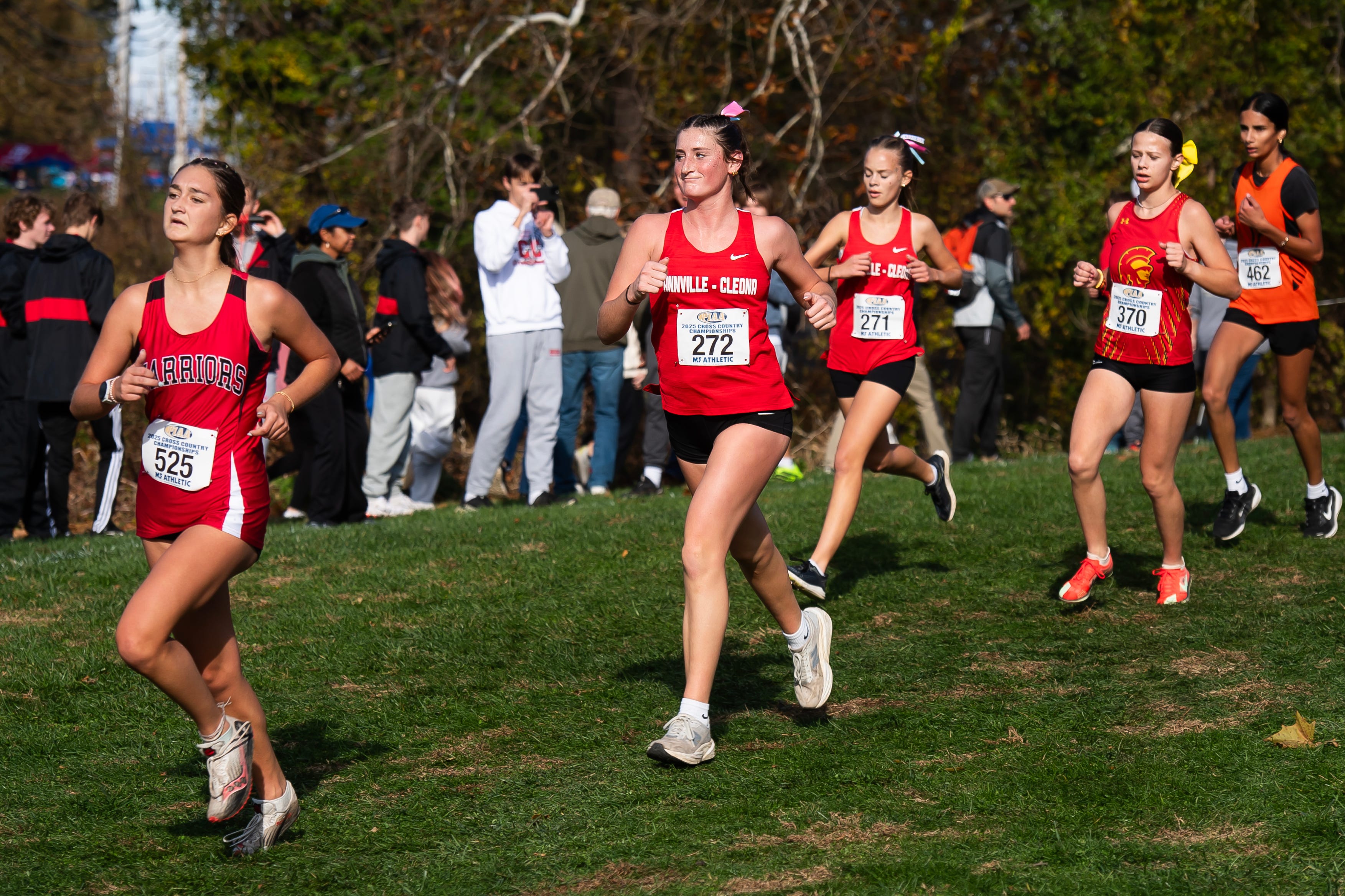 Cedar Crest senior takes Class 3A gold at PIAA cross country championships