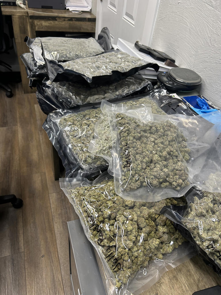 Over 11 pounds of marijuana seized in Graves County drug bust
