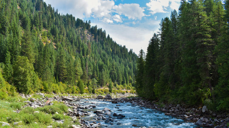 Montana's Rustic Community Just Outside Missoula Is A Scenic Oasis ...