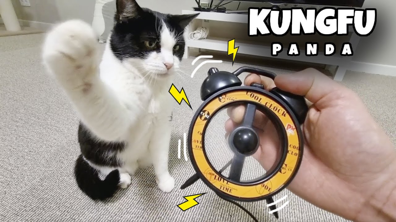 Cat vs Alarm Clock – The Ultimate Reaction