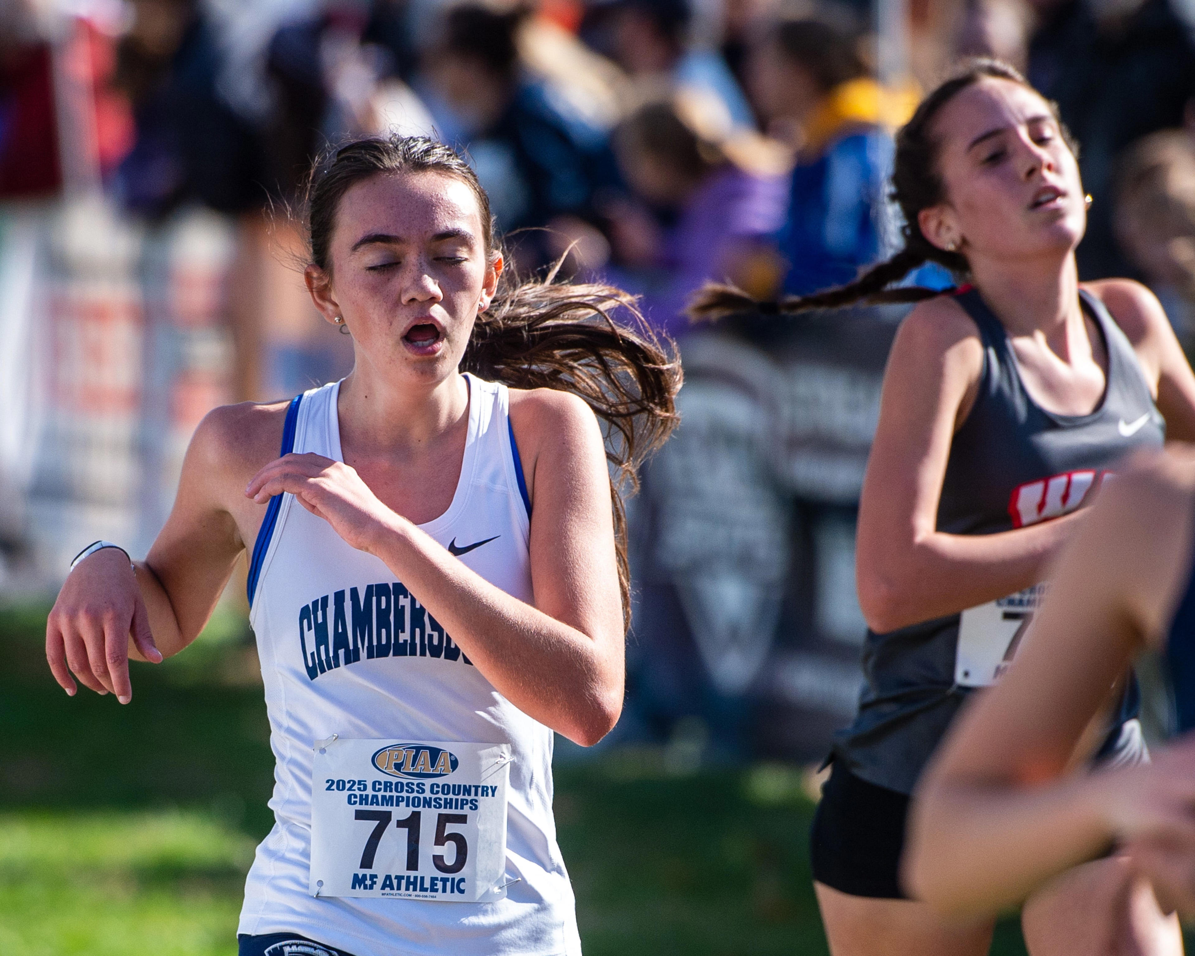Here's how Franklin County runners fared at the PIAA cross country ...