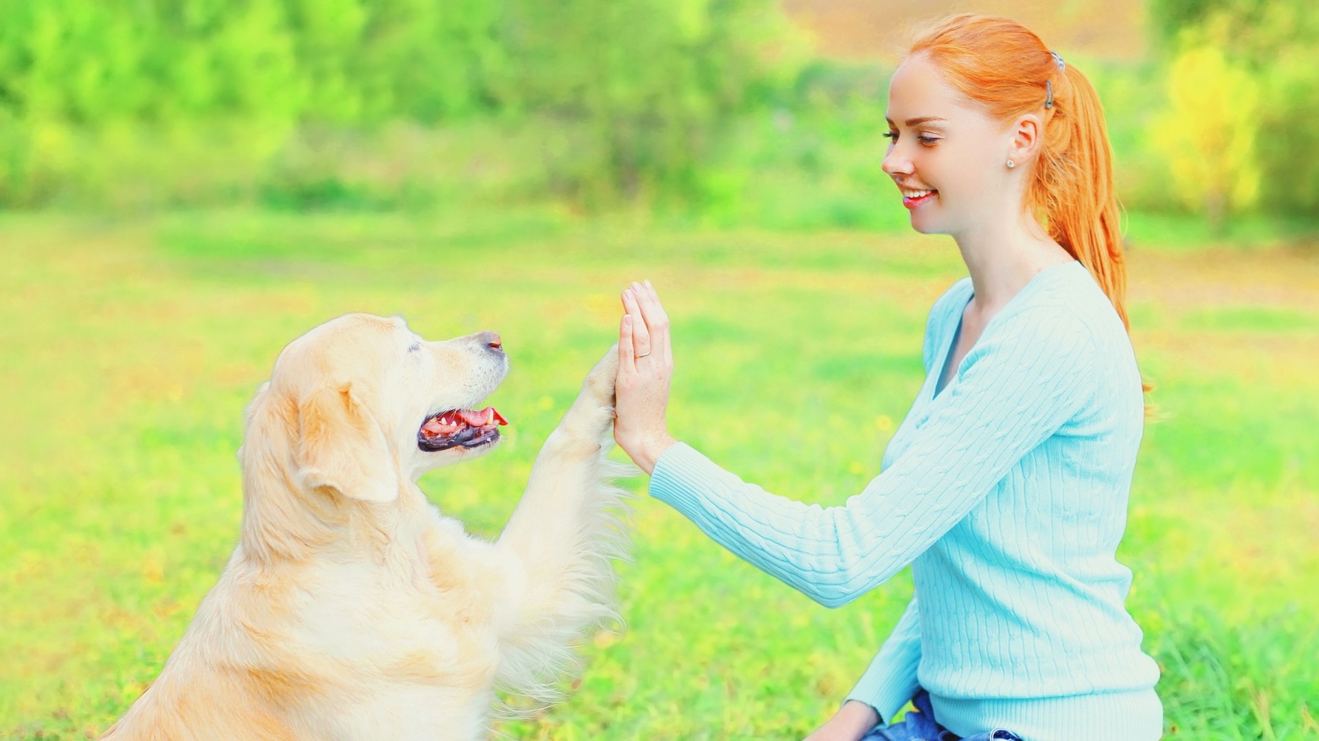 How To Greet A Dog The Right Way, According To A Vet