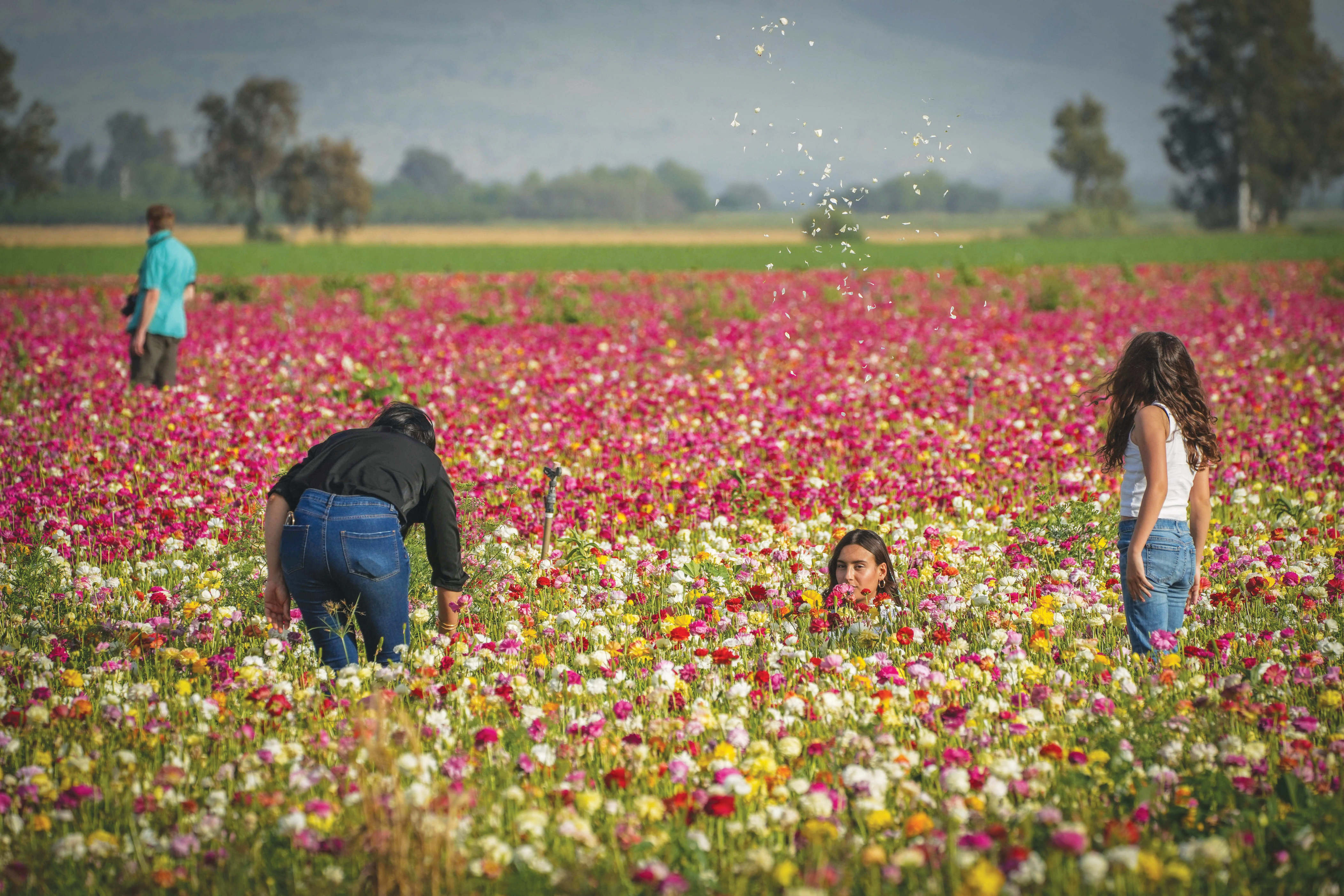 I love where I live Making aliyah and finding happiness in Israel