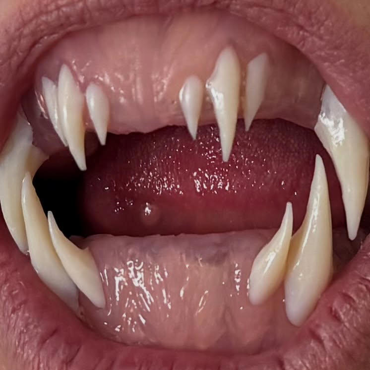 Heidi Klum's mouth with multiple sets of pointed, elongated teeth, likely for a Halloween costume.