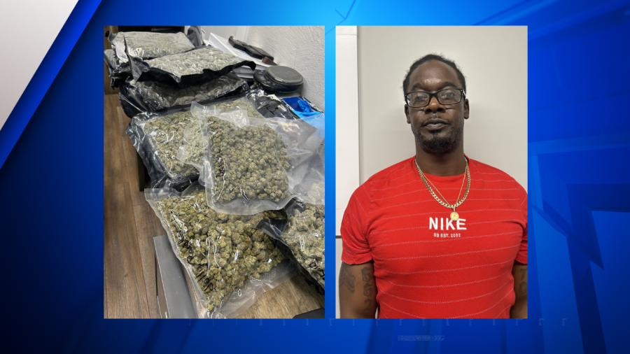 Over 11 pounds of marijuana seized in Graves County drug bust