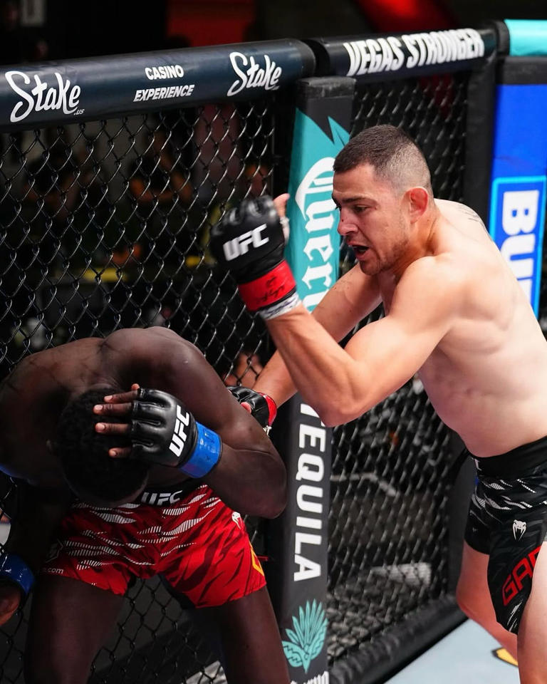 UFC Fight Night 263 bonuses: Main event TKO, co-feature chaos lead four ...