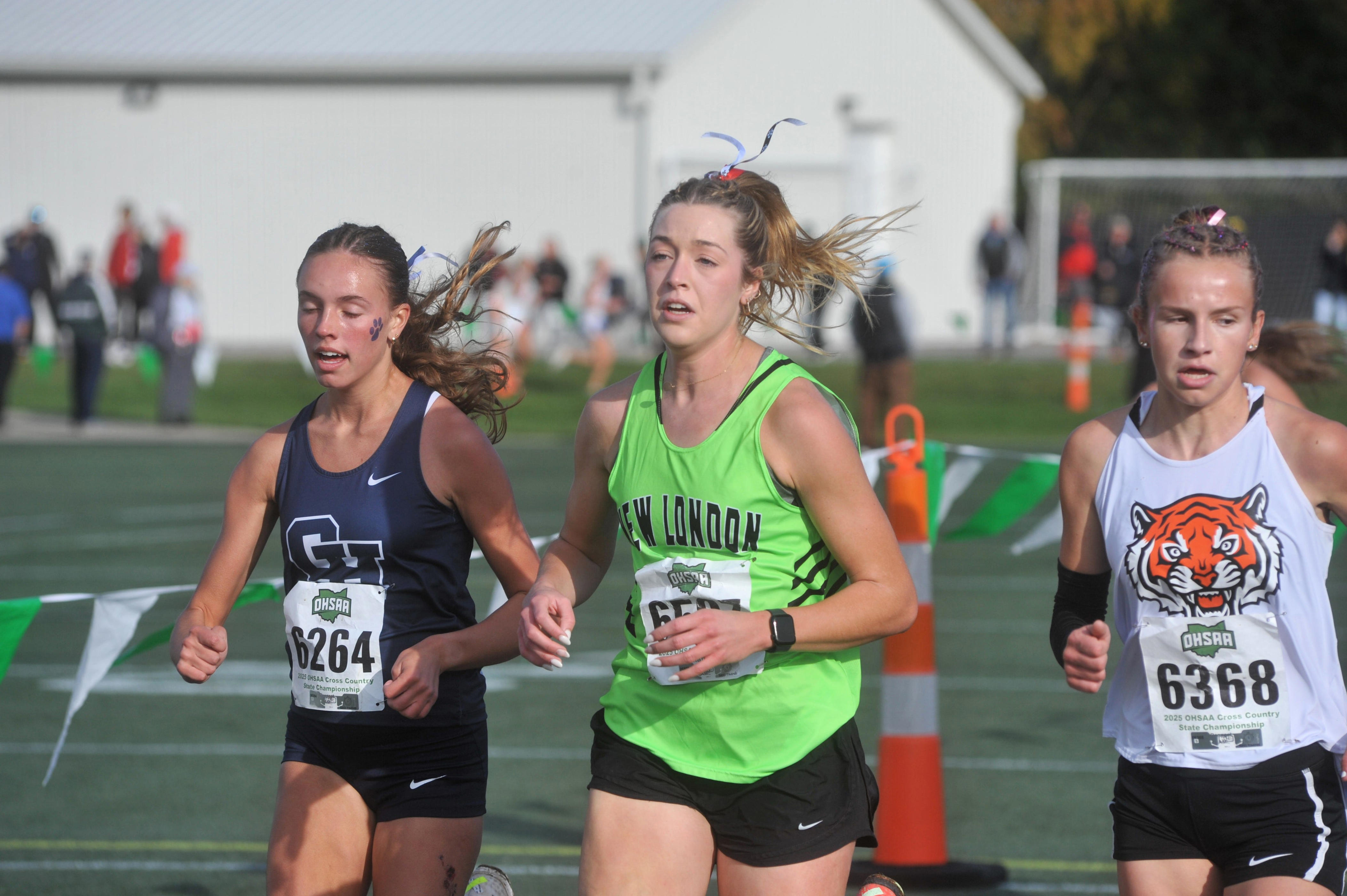 Bucyrus' Boggs 8th, New London's Hicks earns All-Ohio honors at ...