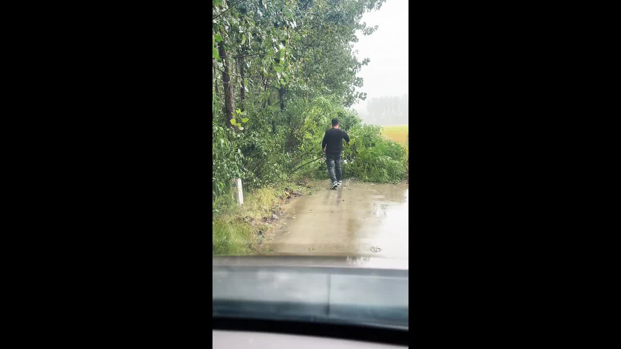 A Man removed fallen tree in Jiangsu, China