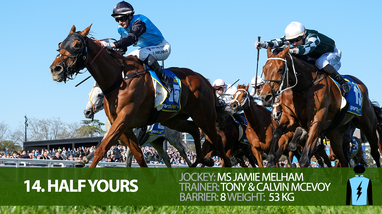 2025 Melbourne Cup Field - complete guide - jockeys, trainers, tips ...