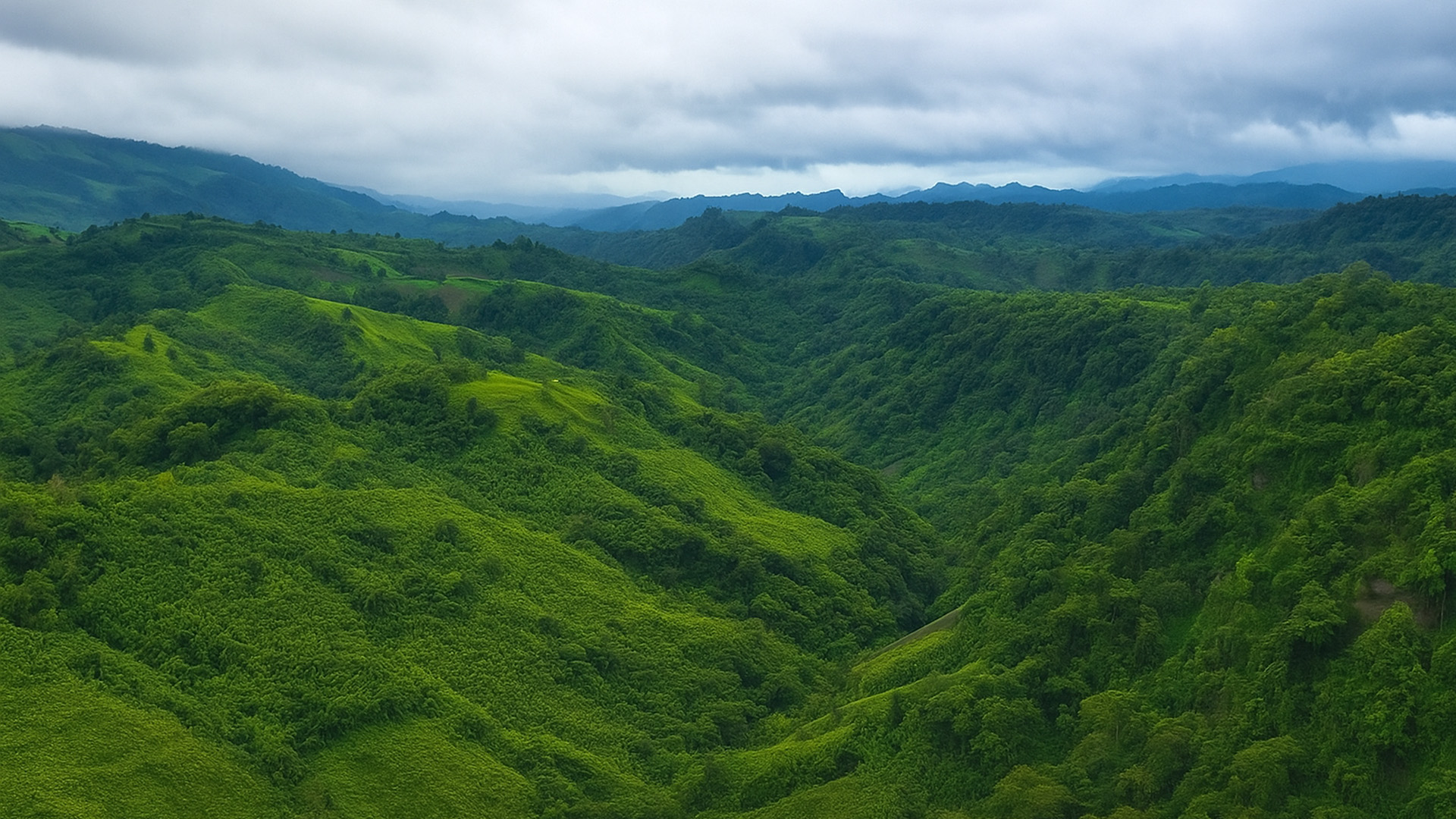 The Hidden Green Hills of Bangladesh